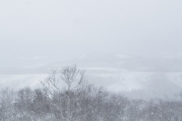 Fototapeta na wymiar Japanische Landschaft im Schneesturm