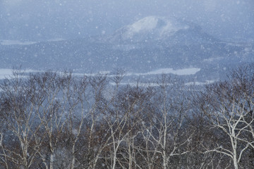 Japanische Landschaft im Schneesturm