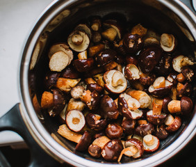 Close up on  bay bolete ( Imleria badia ) on pot, ready to cook