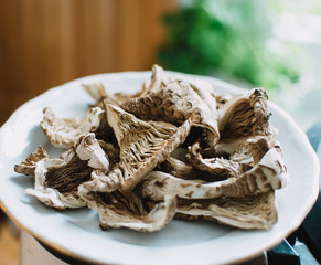 dry pieces of parasol mushroom