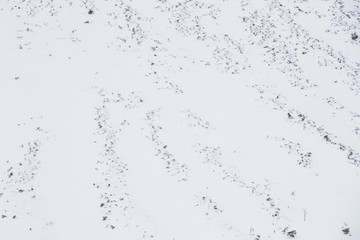 Winterimpression an einem Berghang