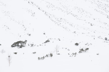 Winterimpression an einem Berghang
