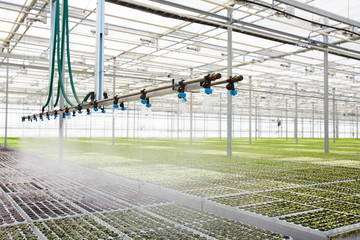Interior of modern hothouse with advanced system of irrigation and plant care