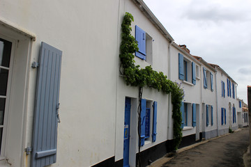 Fototapeta na wymiar Noirmoutier en l'ile