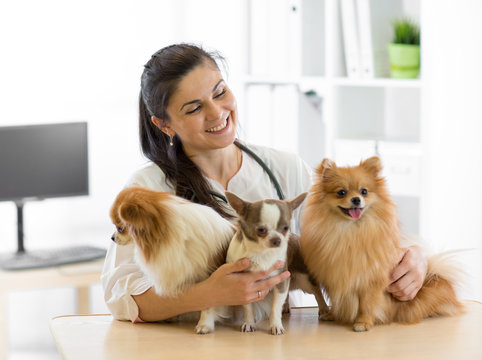 Veterinarian embraces three dogs in vet clinic