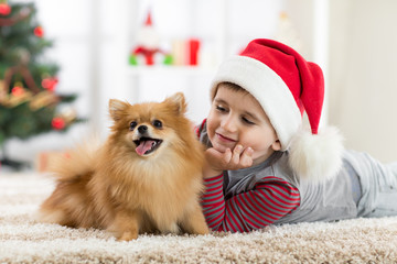 Little boy and dog at Christmas