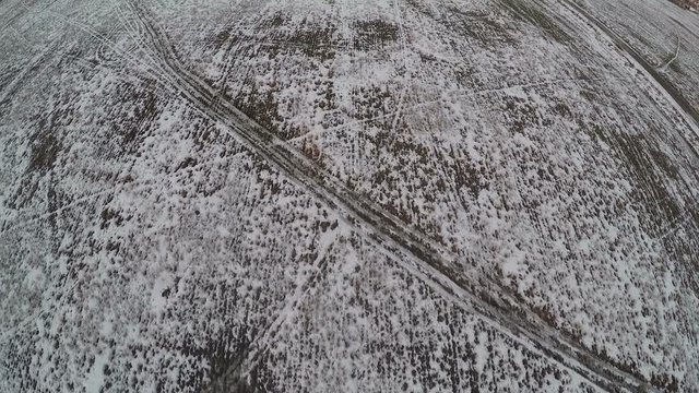 Aerial shot of vast snowy fields with transport tracks near the village, Russia