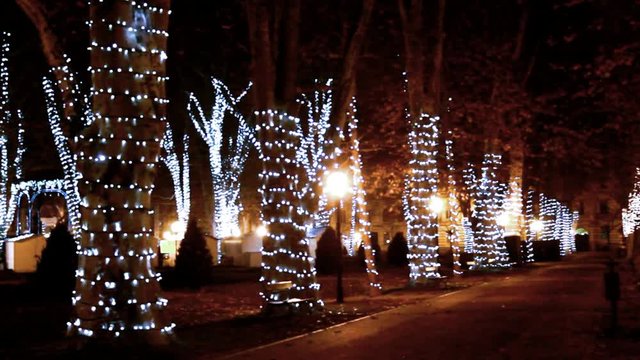      Park Zrinjevac in Advent time in Zagreb  