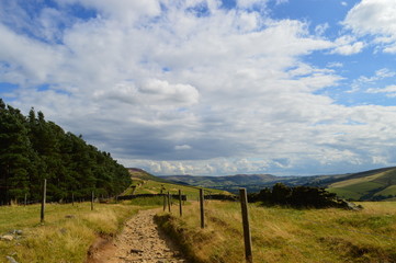 Fototapeta na wymiar Path in countryside