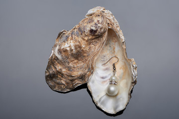 Jewelry pearl earring