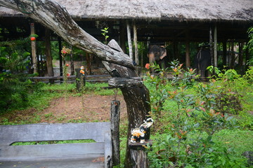 Koh Chang, Thailand SEPTEMBER 15, 2017: view of Ban Koh Chang elephant farm