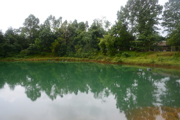 Beautiful lake in rainy season on Ko Chang island, Thailand