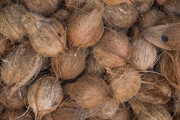 Pile of coconuts