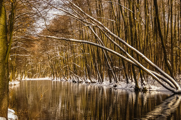 Blue Sources Nature Reserve in Tomaszow Mazowiecki city, Poland