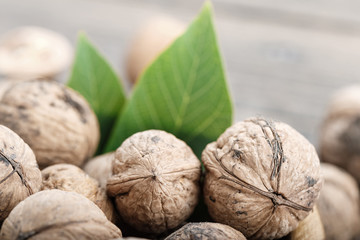 walnut harvest close-up