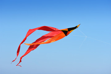 flying kite