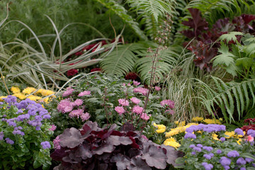 Beautiful garden and park plants and flowers