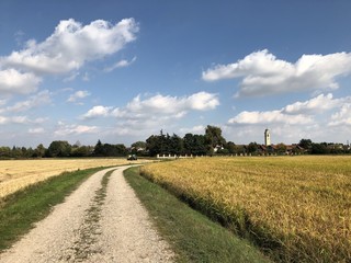 Le risaie lombarde a Basiglio
