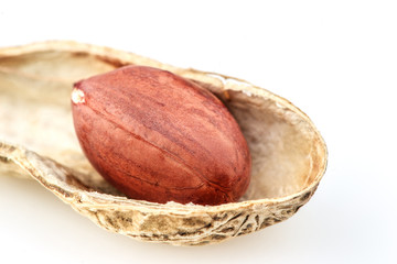 Peanut nut on white background
