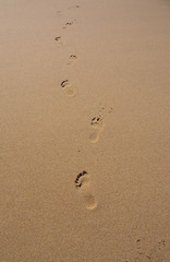 Fototapeta na wymiar Footprints in the sand. Only one walker's footprints in the smooth sand.