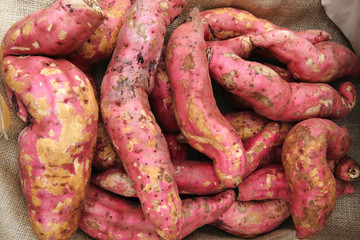 sweet red potatoes from africa