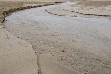 砂浜