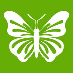 Butterfly icon green