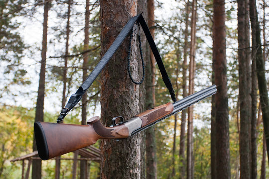 shotgun hanging on the tree