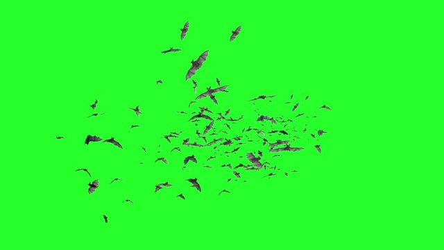 flock of bats on a green background 3D render
