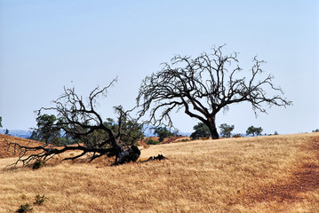 alterações climáticas