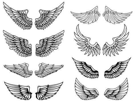 Set of vintage vector wings. Design elements for logo, label, emblem, sign, poster, t shirt. Vector illustration