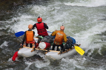 Team of athletes on an inflatable catamaran rafting on white water. Chaya river, North Baikal Highlands, Siberia, Russia.