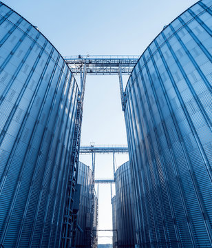 Modern silos for storing grain harvest. Agriculture.