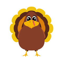 Turkey Pilgrimin on Thanksgiving Day