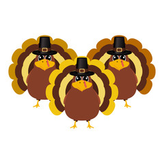 Turkey Pilgrimin on Thanksgiving Day