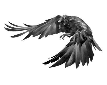 Crow Tattoo Meaning - TDP Clothing®