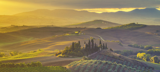 classic tuscan landscape,Fields and vineyards in the morning mist