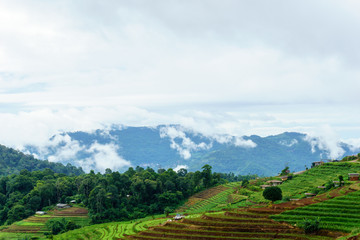 panorama dramatic view of valley with mist over the mountain and cloudy sky background in the morning, Mon Cham Valley, Chiangmai, Thailand.