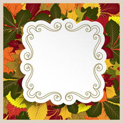 Cut out square frame on autumn leaves background