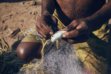 Fisherman taking a fish from the net