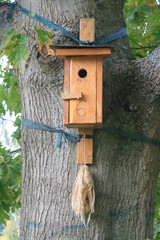 Vogelhaus am Baum