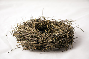 Obraz premium small empty nest isolated on white background