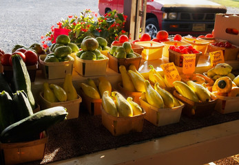 Squashes And Tomatoes Roadside