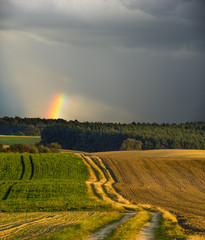 A dirt road winding among autumn fields towards a rainbow in the sky