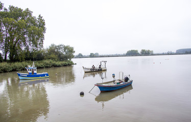 Fototapeta na wymiar Bords de Loire, nature, ciel, oiseux