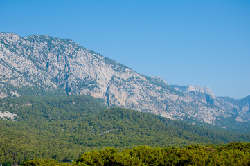 Grey mountain on blue sky background and green forest near it