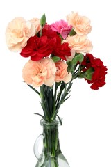 Naklejka na ściany i meble multicolor carnations