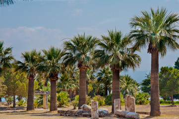 Fototapeta na wymiar Sequence of green palm trees on sunny summer day and heap of ancient ruins under them under blue sky