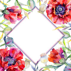 Wildflower poppy flower frame in a watercolor style. Full name of the plant: red poppy. Aquarelle wild flower for background, texture, wrapper pattern, frame or border.