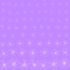 Seamless pattern with white flowers on purple background.  Graphic texture with buttercups.
